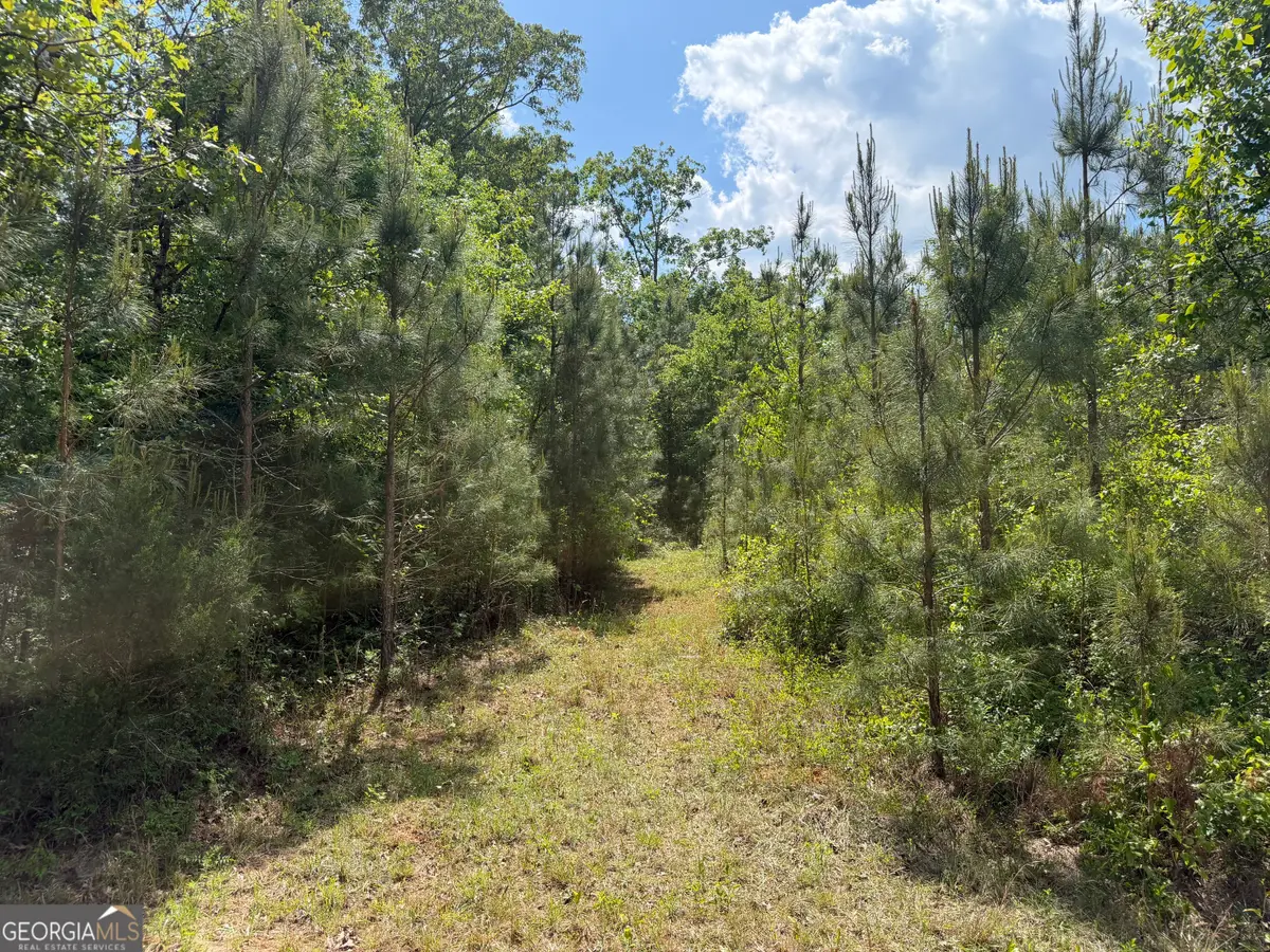 0077 George Milling Rd, Cuthbert, GA 39840 - #1