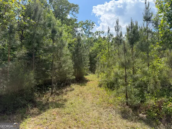 0077 George Milling Rd, Cuthbert, GA 39840