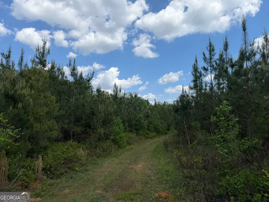 0077 George Milling Rd, Cuthbert, GA 39840 - #3
