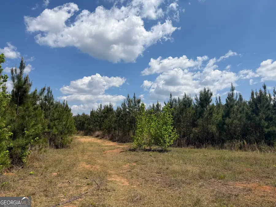 067 George Milling Rd, Cuthbert, GA 39840 - #2