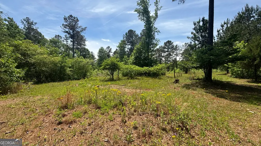 537 Zellner Road, Forsyth, GA 31029 - #2