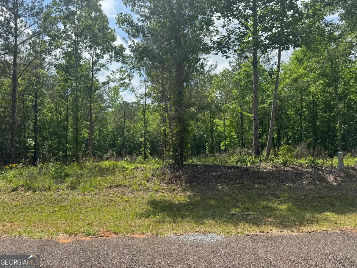 0 County Road 865, Roanoke, AL 36274 - #1