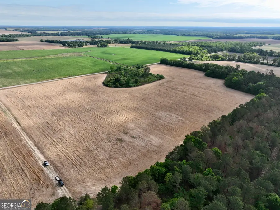 0 Folds Road, Pineview, GA 31071 - #3