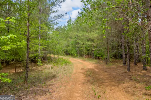 0 Upper Mill Road, Crawfordville, GA 30631