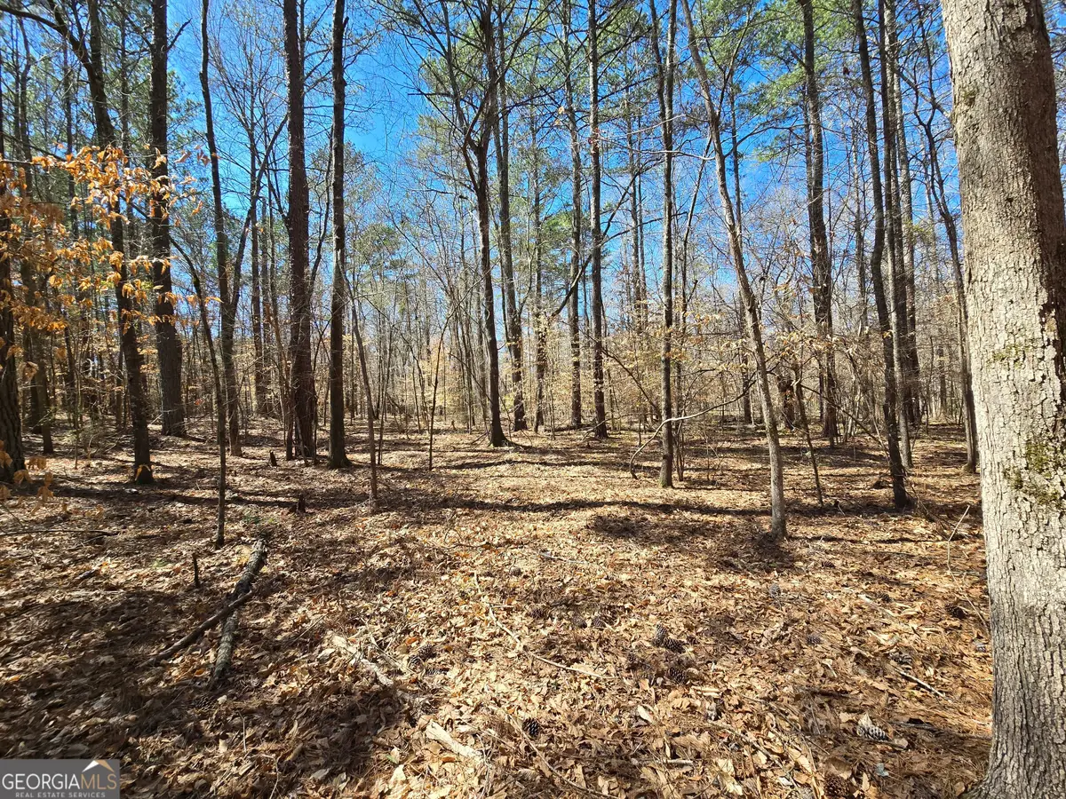 0 River Shoals Court, Covington, GA 30016 - #1