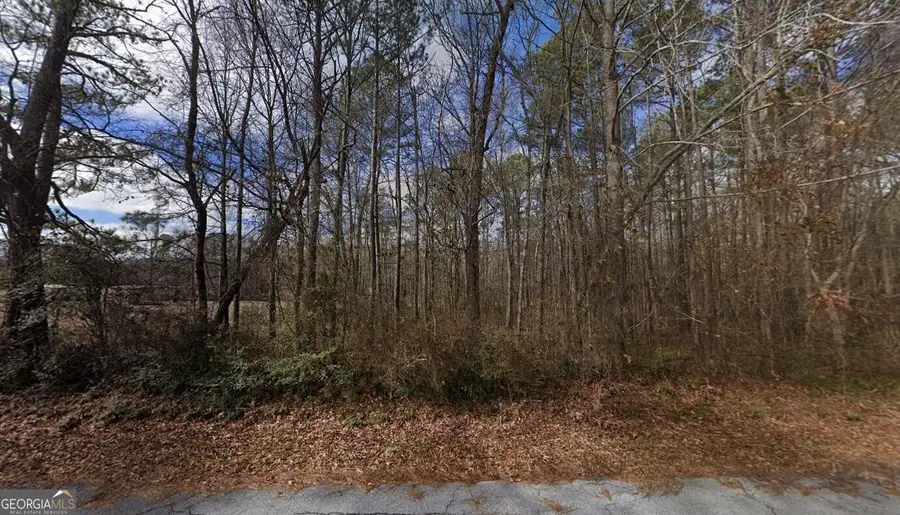 40 Ridgeview Drive, Cedartown, GA 30125 - #2