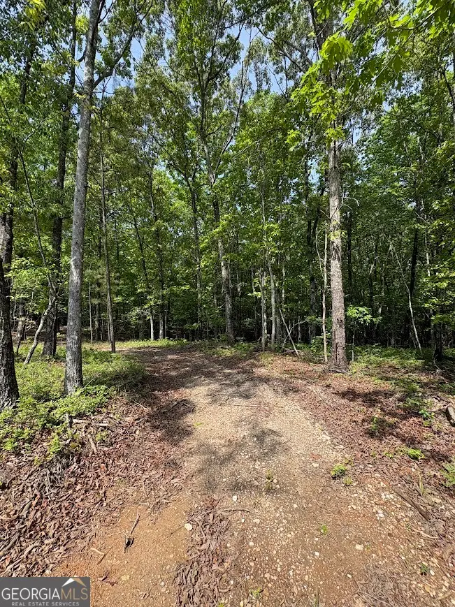 0 Roy Dean Road, Buchanan, GA 30113 - #3