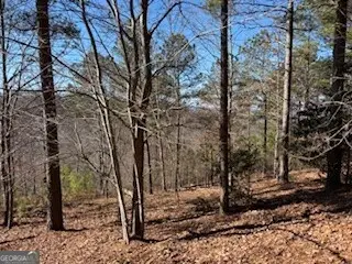 0 High Mile Ln, Blairsville, GA 30512 - #3