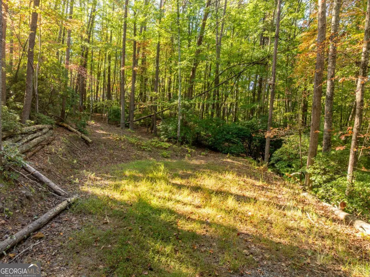 TRACT 1 Turniptown Road, Ellijay, GA 30536 - #1