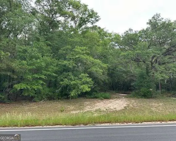 0 Old Louisville Road, Guyton, GA 31312 - #1