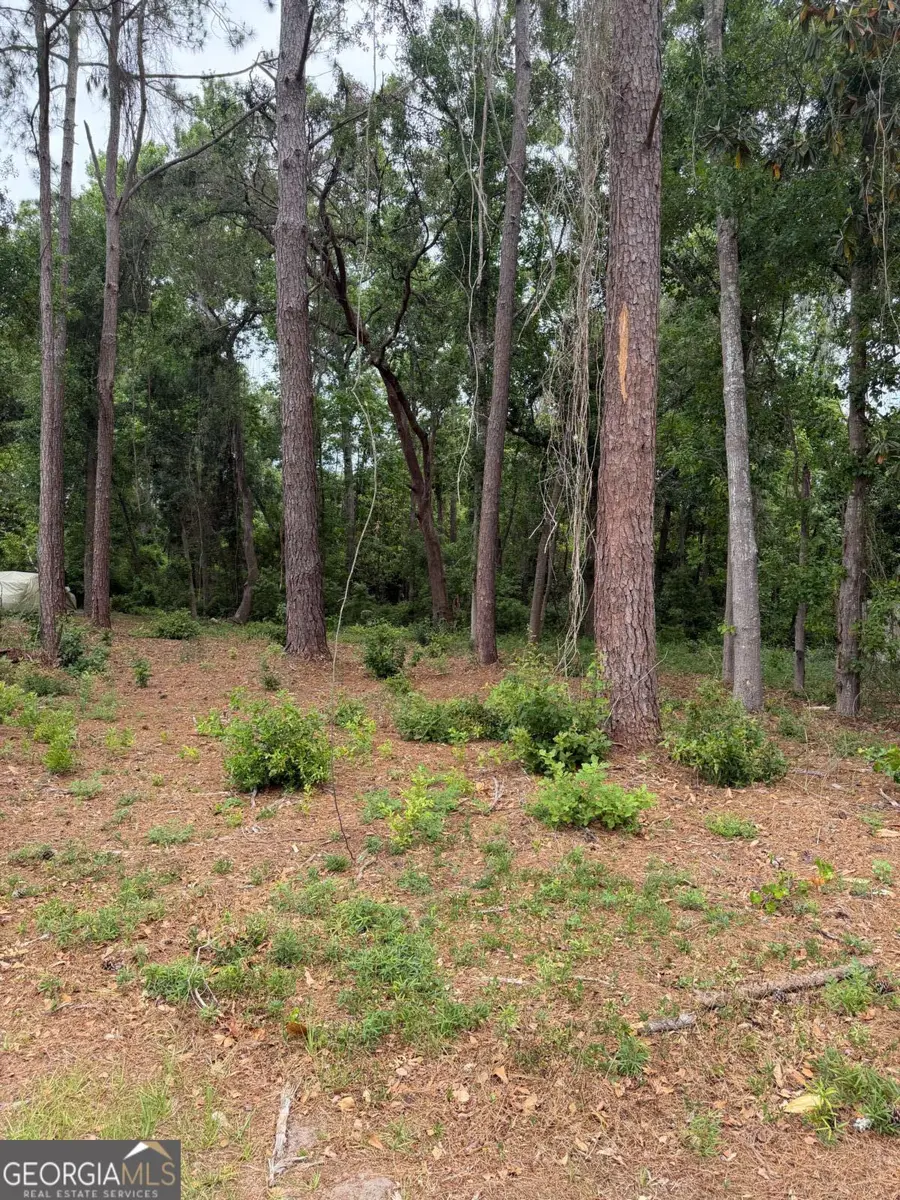 134 Palmera Lane, Brunswick, GA 31520 - #2