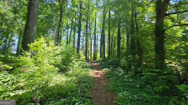 6099 Old Alabama Road Sw, Austell, GA 30168
