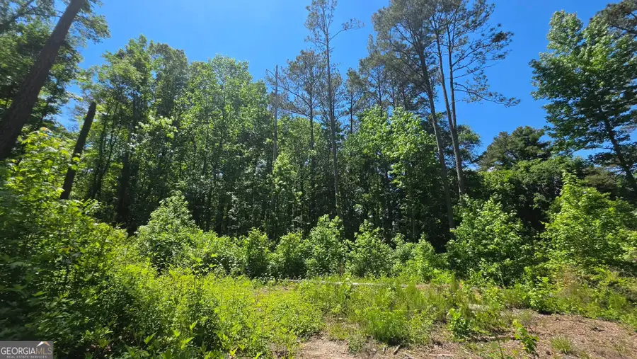6099 Old Alabama Road Sw, Austell, GA 30168 - #2