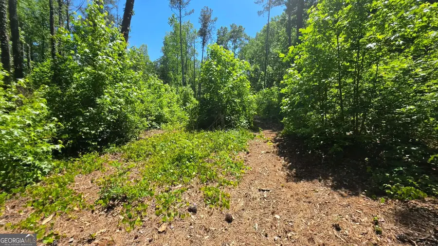 6099 Old Alabama Road Sw, Austell, GA 30168 - #3