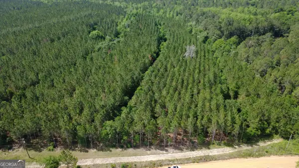 0 A L Reeve's Road, Fitzgerald, GA 31750