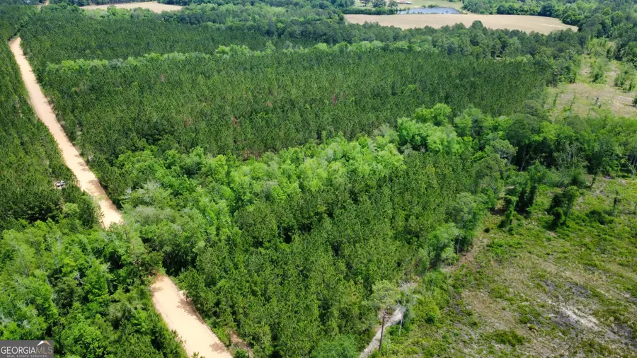 0 Sunflower Road, Fitzgerald, GA 31750 - #3