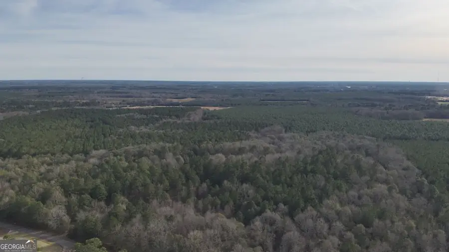 3 Country Club Road #LOT 3, Sylvania, GA 30467 - #2