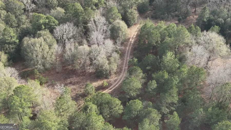 7 Country Club Road #LOT 7, Sylvania, GA 30467 - #3