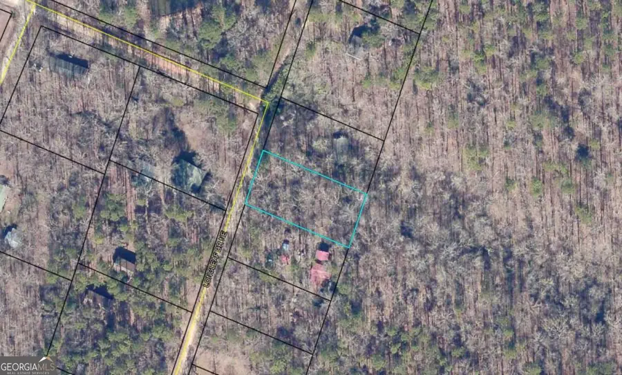 0 Long Leaf Drive, Thomson, GA 30824 - #3