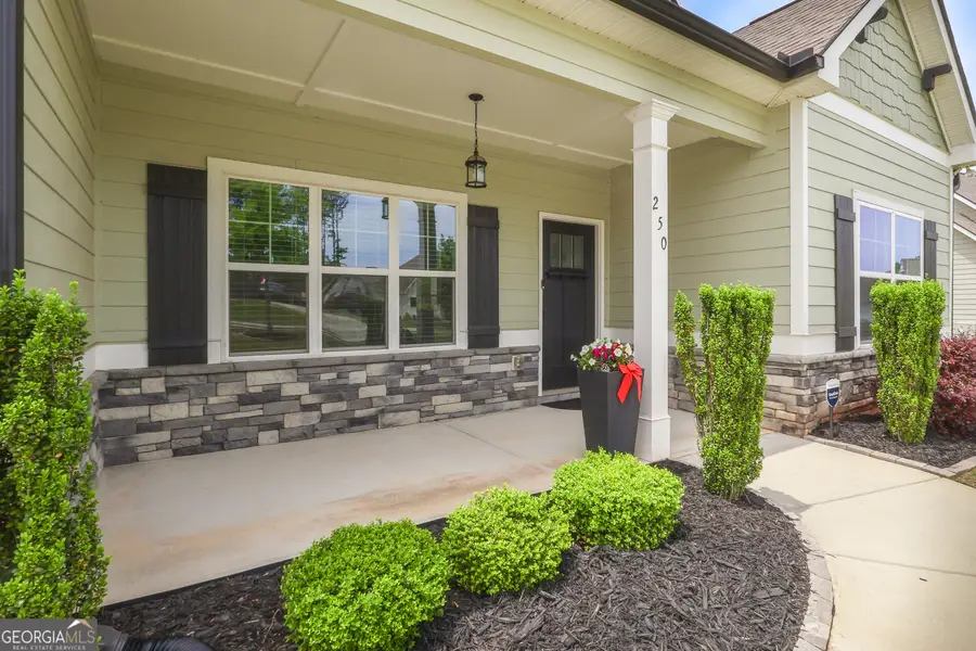 250 Cushing Street, Senoia, GA 30276 - #2