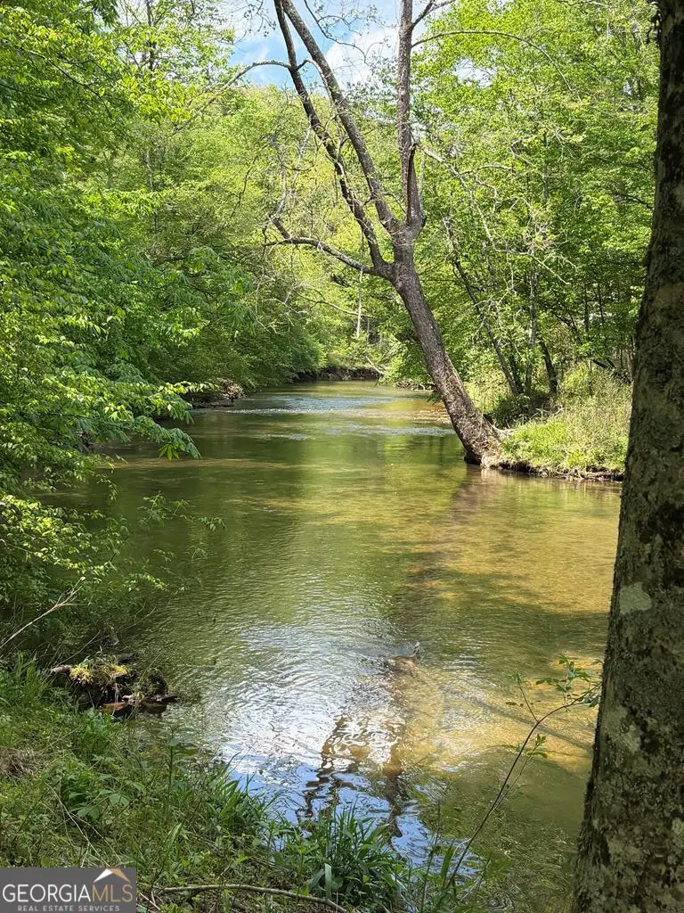 9.8 AC Brown Mountain, Suches, GA 30572 - #1