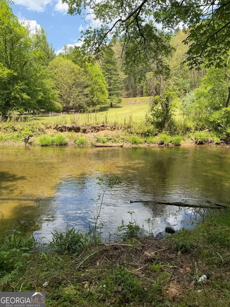 9.8 AC Brown Mountain, Suches, GA 30572 - #3