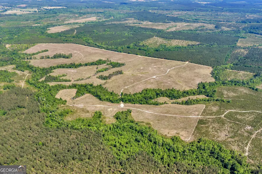 0 Cedar Grove Lots Road, Dublin, GA 31021 - #2