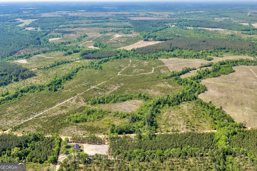 0 Cedar Grove Lots Road, Dublin, GA 31021 - #3