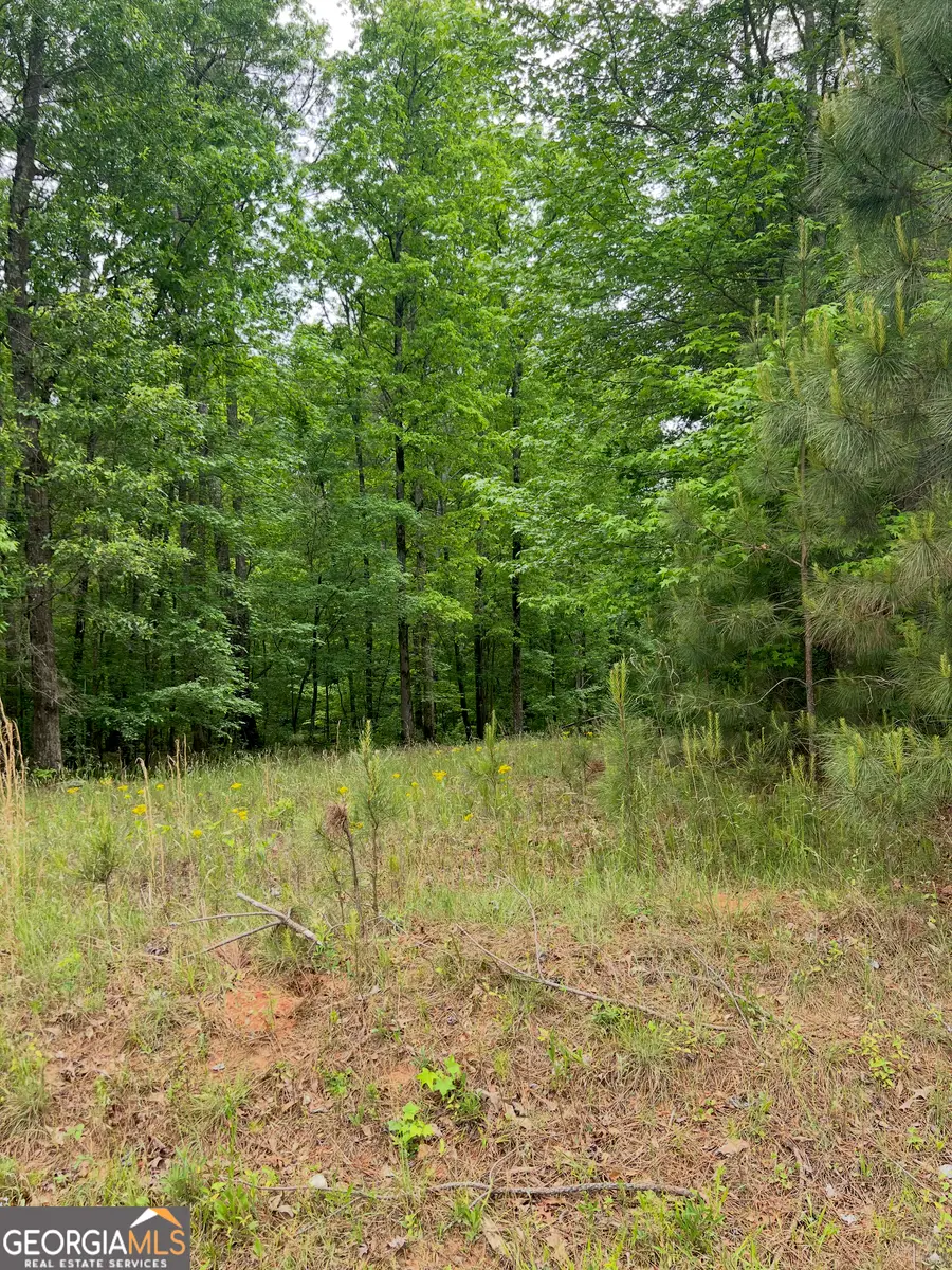 1585 N Ola Road, McDonough, GA 30252 - #2