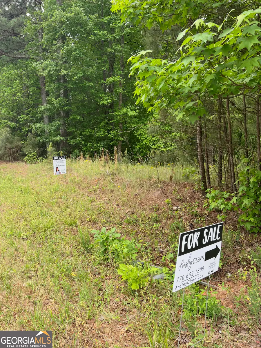 1585 N Ola Road, McDonough, GA 30252 - #3