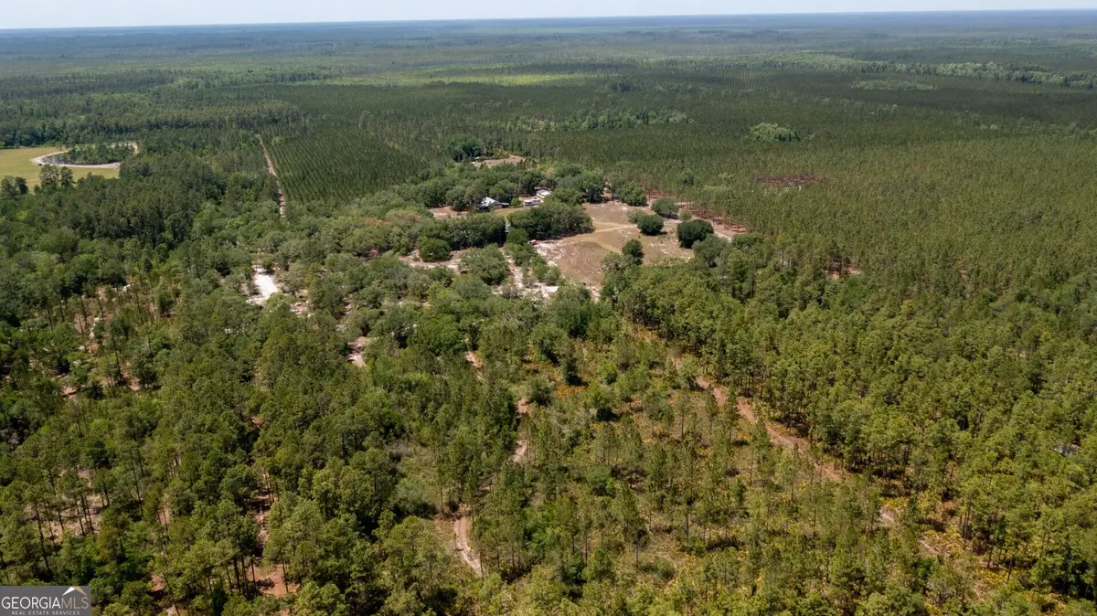 779 Ralph Davis Road #1 LAND LOT, Folkston, GA 31537 - #1