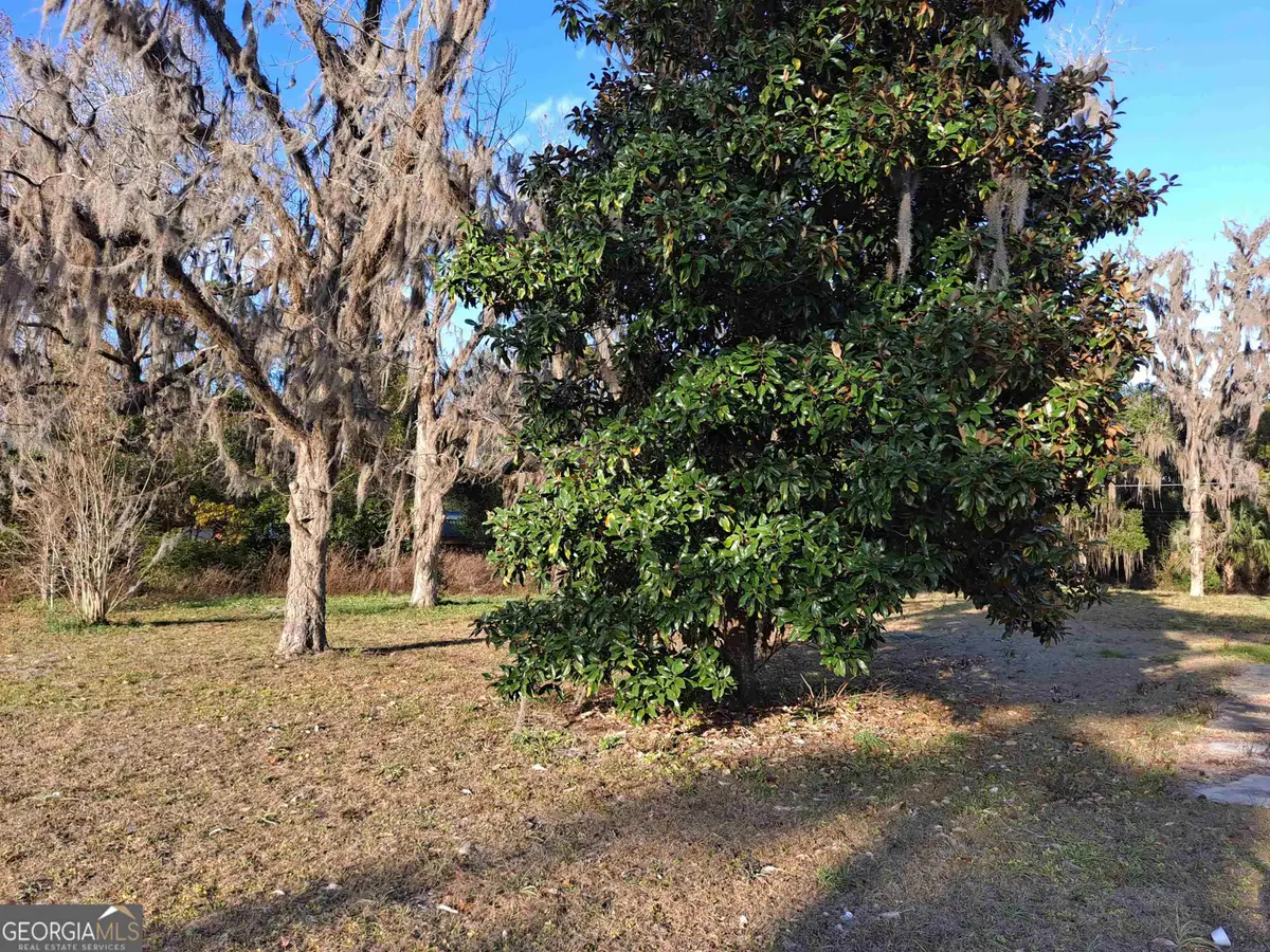 0 EAST Martin Street, Folkston, GA 31537 - #1