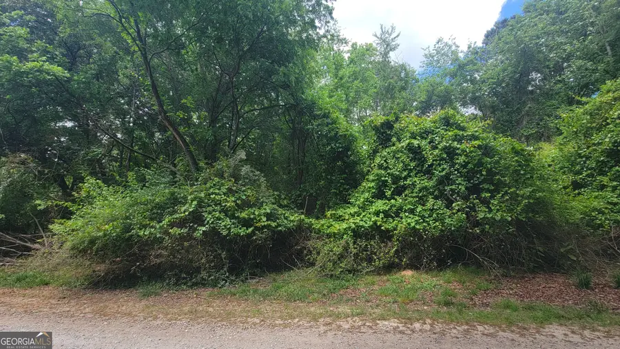 0 Lester Road, Athens, GA 30607 - #2