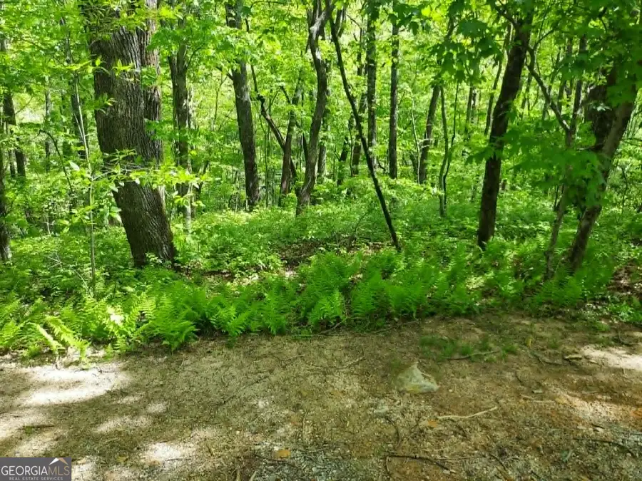 0 LOT 5 Rebel Circle, Sky Valley, GA 30537 - #3