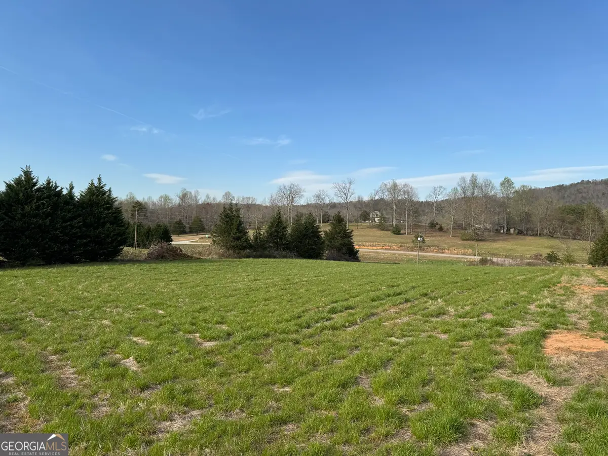0 Hwy 17 Tract 2, Clarkesville, GA 30523 - #1