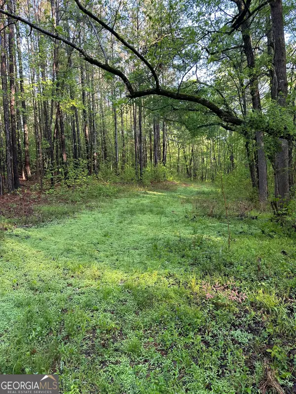 1433 Cleveland Farm Rd, Locust Grove, GA 30248
