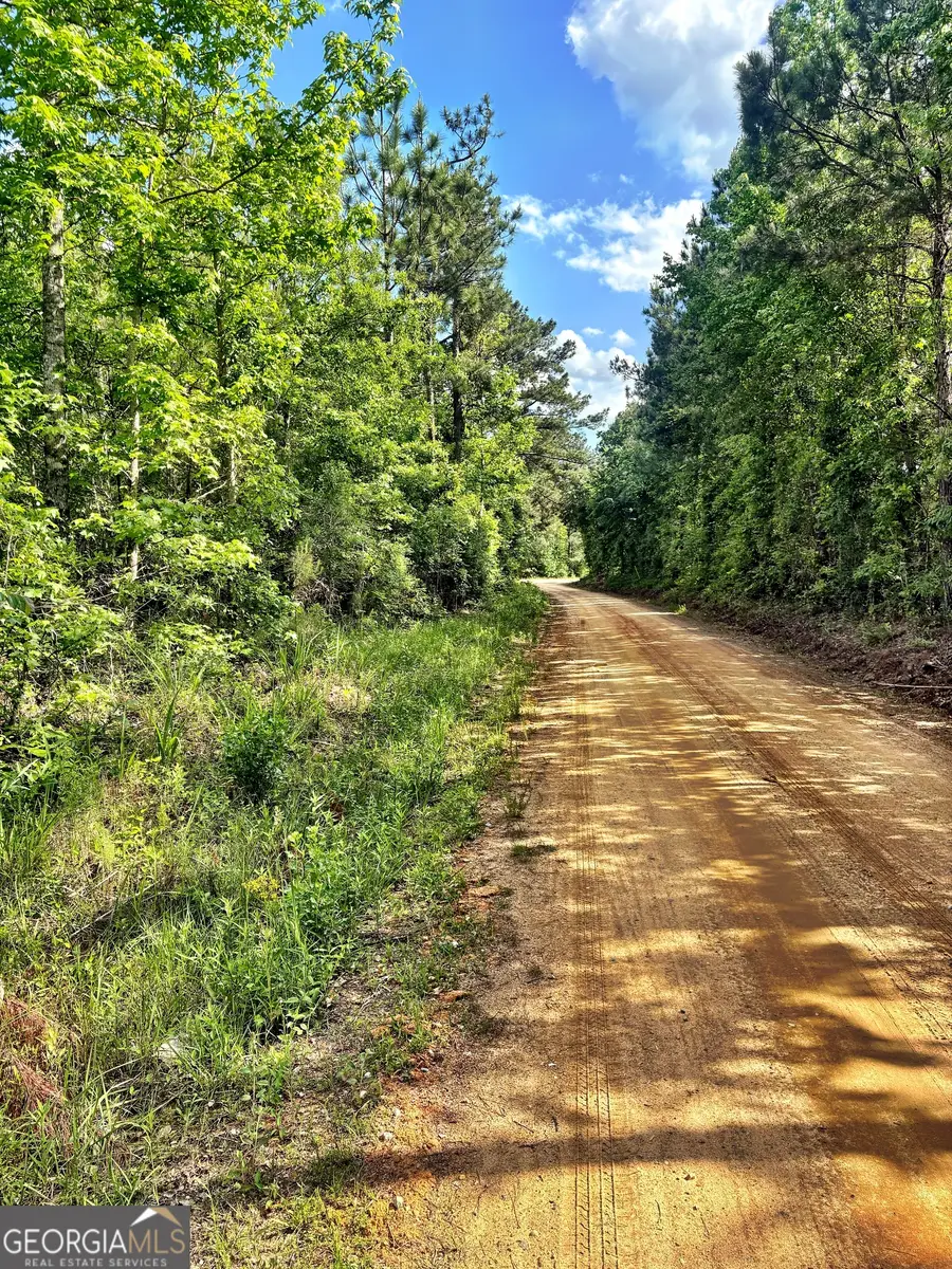 0 Johnson Road, Musella, GA 31066 - #2