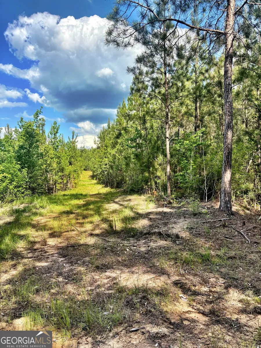 0 Johnson Road, Musella, GA 31066 - #3