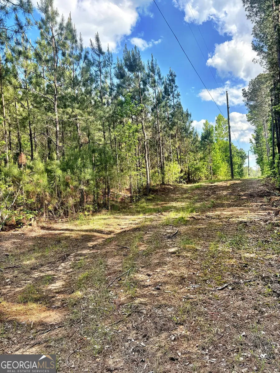 0 Johnson Road, Musella, GA 31066 - #3