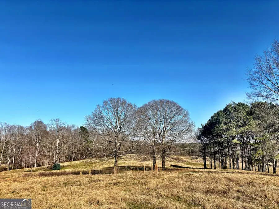 0 Torbet Road, Juliette, GA 31046 - #2