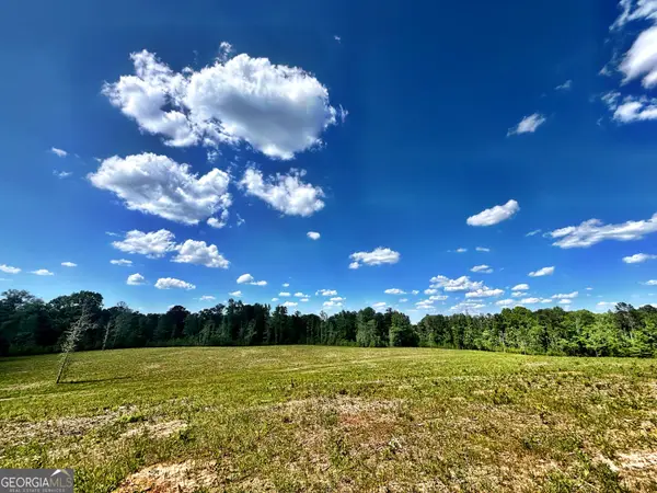 0 Wilson Way, Musella, GA 31066