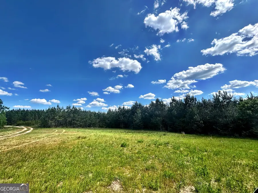 0 Wilson Way, Musella, GA 31066 - #2