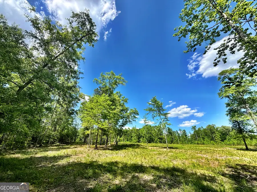 0 Wilson Way, Musella, GA 31066 - #3