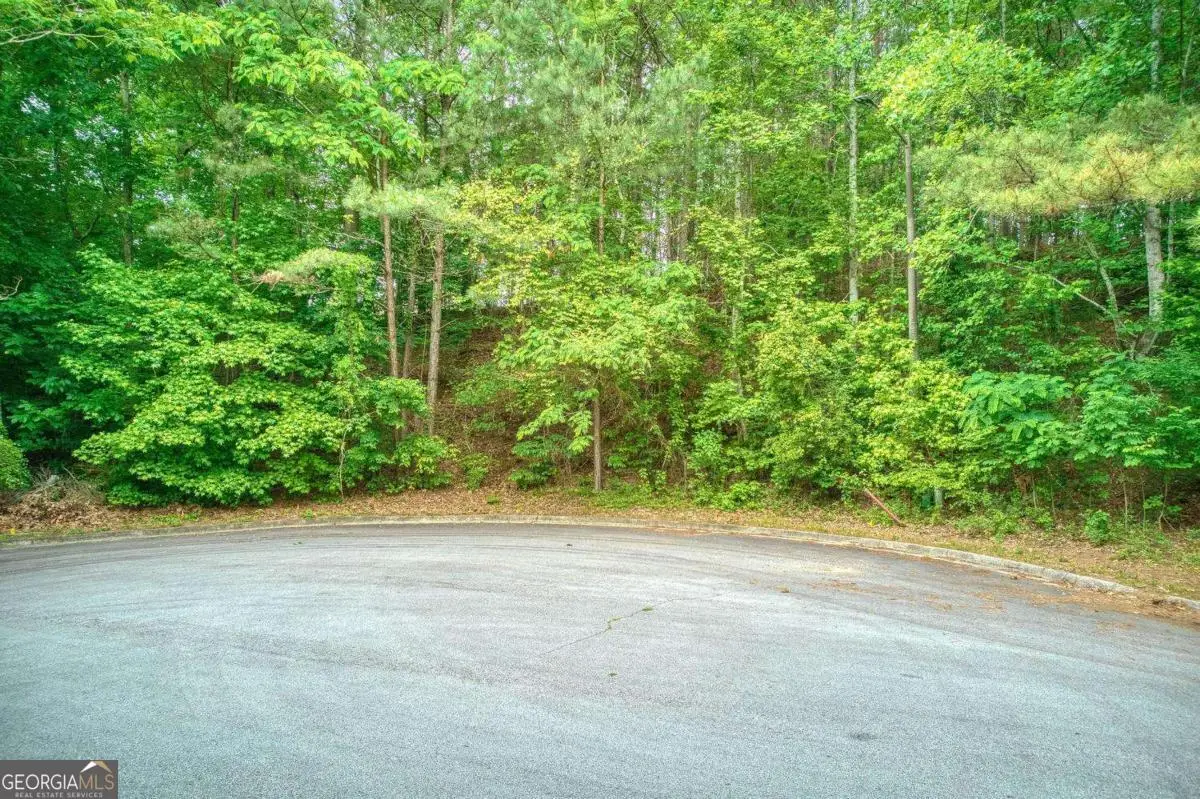 2715 Brass Lantern Court, Douglasville, GA 30135 - #1