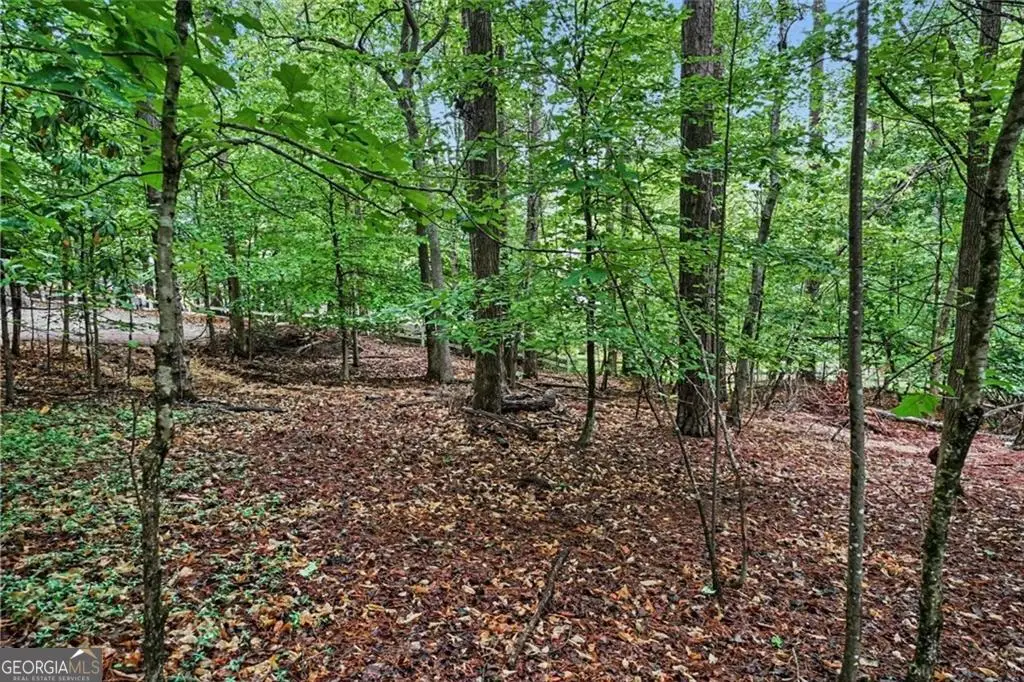 3838 Wesley Chapel Road, Marietta, GA 30062 - #1