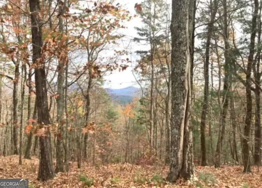 LOT 17 Abbott Mill Road, Ellijay, GA 30540 - #2