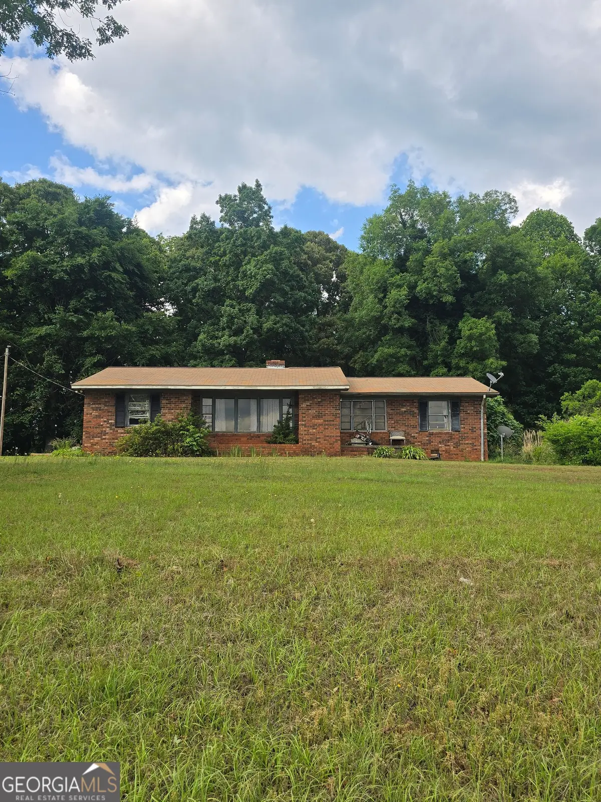 250 Brown Road, Carnesville, GA 30521 - #1