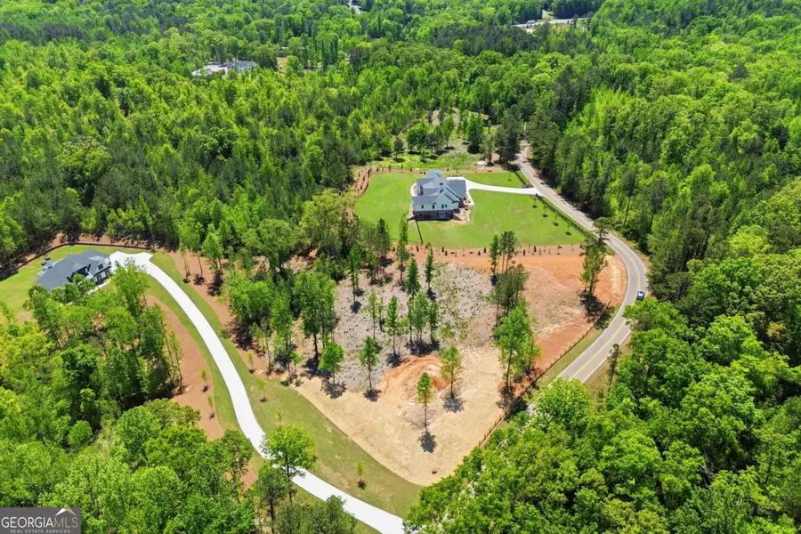 460 Mt. Olive Church Lane, Canton, GA 30114 - #2