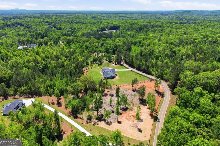 460 Mt. Olive Church Lane, Canton, GA 30114 - #3