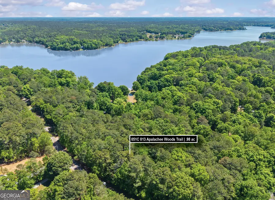 LOT 19 Apalachee Woods Trail, Buckhead, GA 30625 - #3
